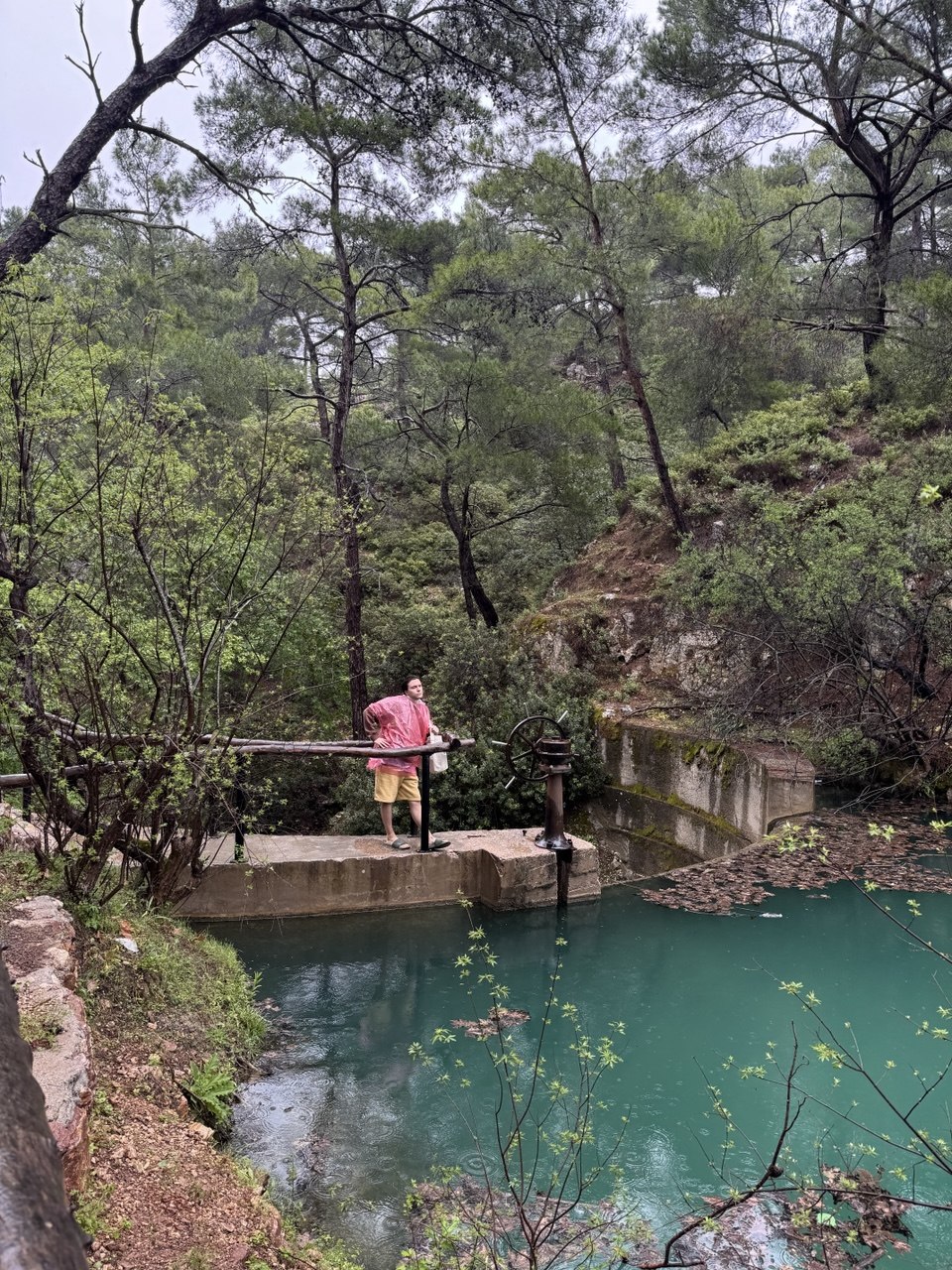 sevenSprings